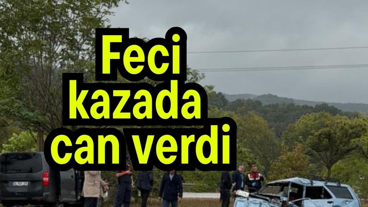 Yalova-Bursa Yolunda Can Veren Kaza: 1 Ölüm