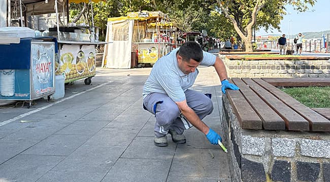 HAŞERELERLE MÜCADELE ARALIKSIZ SÜRÜYOR