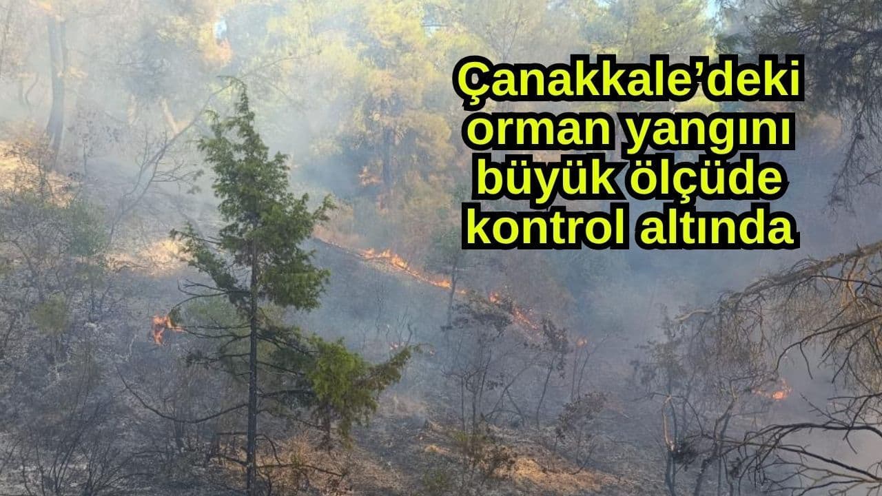 Çanakkale’deki ormanlık alan yangını önemli oranda denetim altında