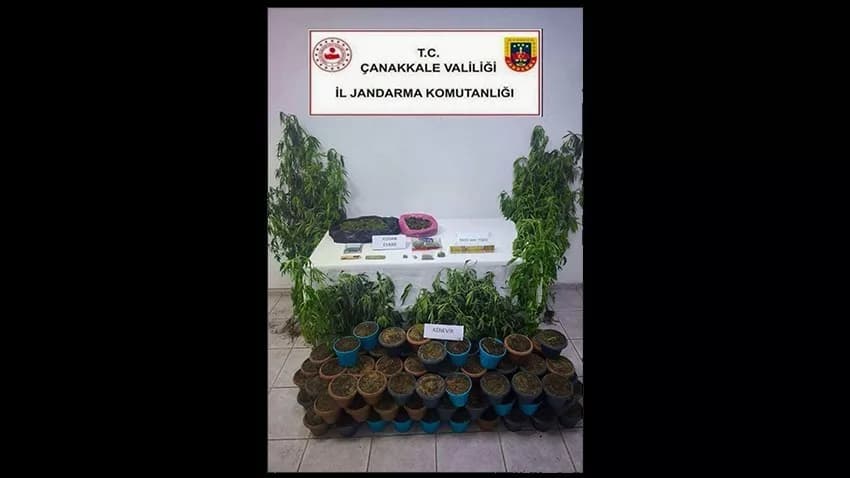 Jandarmadan Uyuşturucu Operasyonu