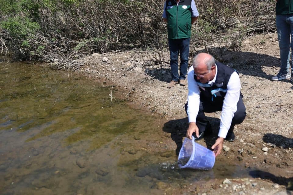Atikhisar Barajı’na 348 Bin Sazan Yavrusu Salındı