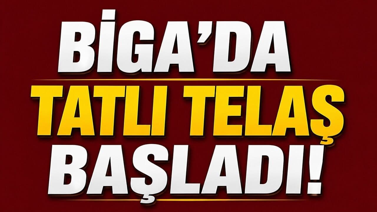 Biga’da Badem Hasadı Heyecanı: İlçe Tarım ve Orman Müdürü Sahada