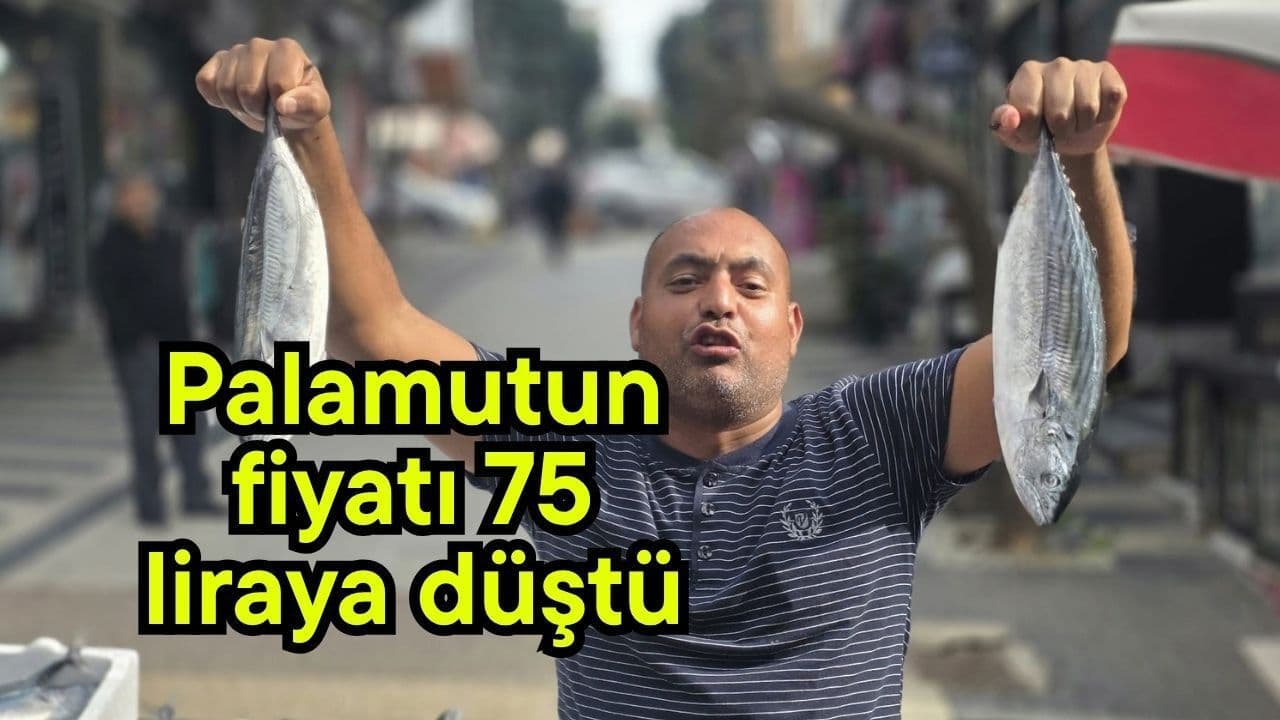 Bandırma Balık Pazarında Palamut Fiyatları Geriledi: Çanakkale Sofralarına Müjde Yolda mı?