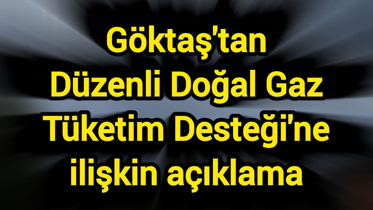 Çanakkale'de Doğal Gaz Tüketim Desteği: Göktaş'ın Açıklamaları