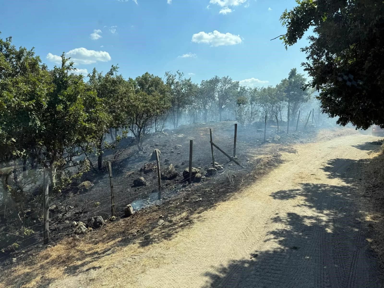 Çanakkale'de Tarım Arazisinde Çıkan Yangın Kontrol Altına Alındı
