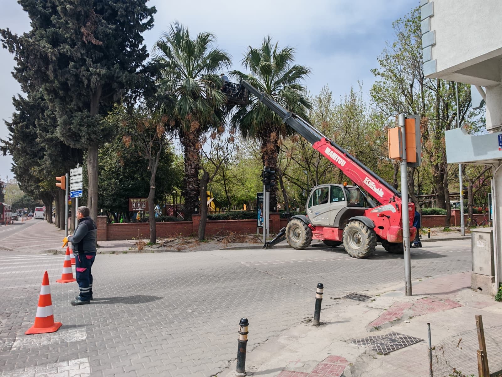 Çanakkale'nin Bahar Bakımı