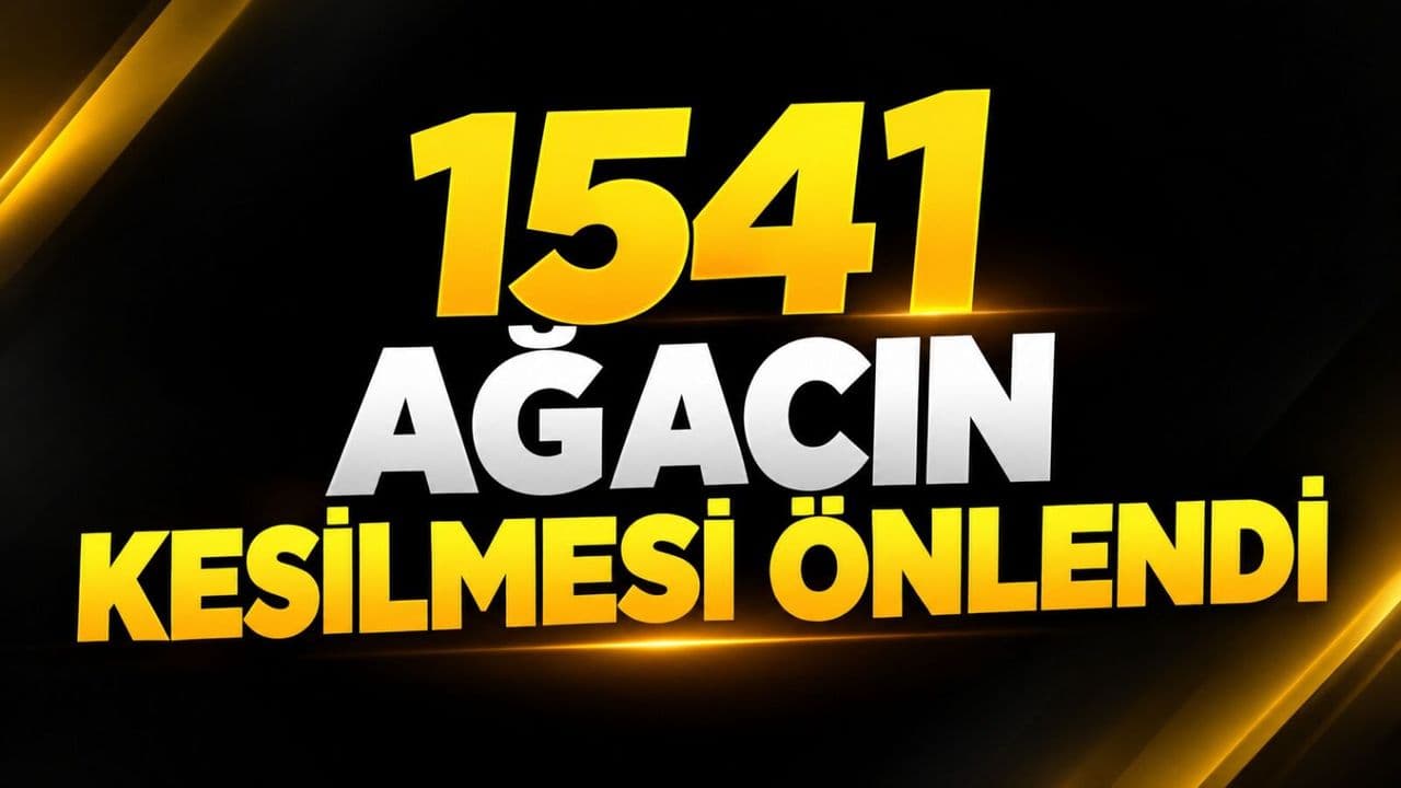 TBMM'den Çevreye Örnek Adımlar: Binlerce Ağacın Kesilmesi Engellenirken, Geleceğe Umut Ekiliyor