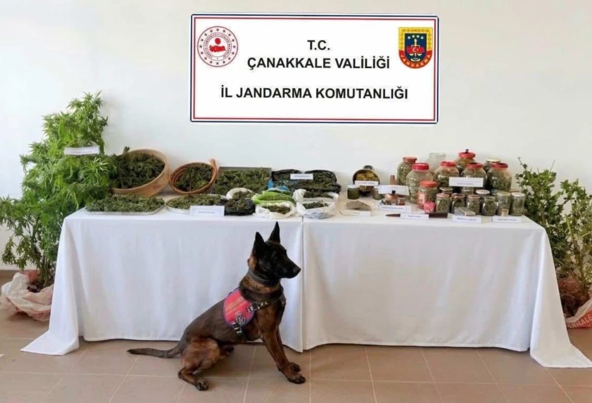 Eceabat Kaçakçılık Operasyonu: 1 Gözaltı ve 10 kg Esrar Ele Geçirildi