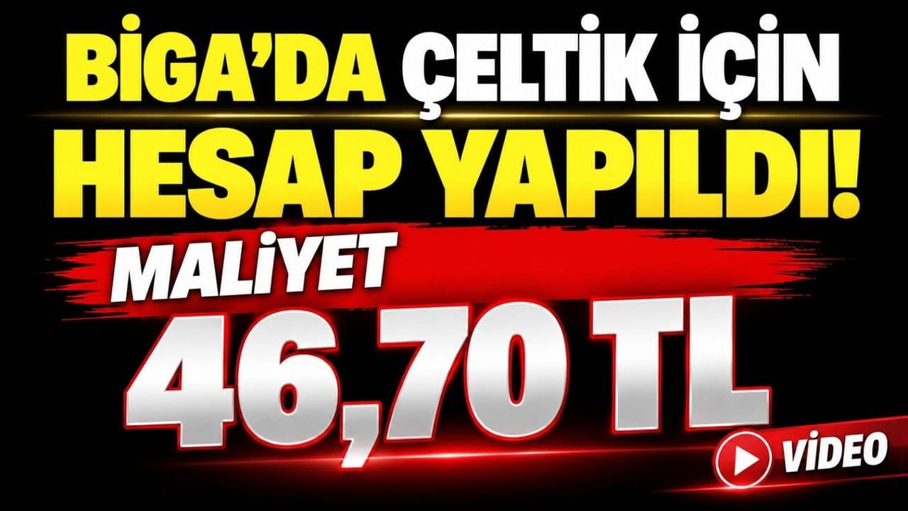 Biga’da Çeltik İçin Hesap Yapıldı: Maliyet 46,70 TL