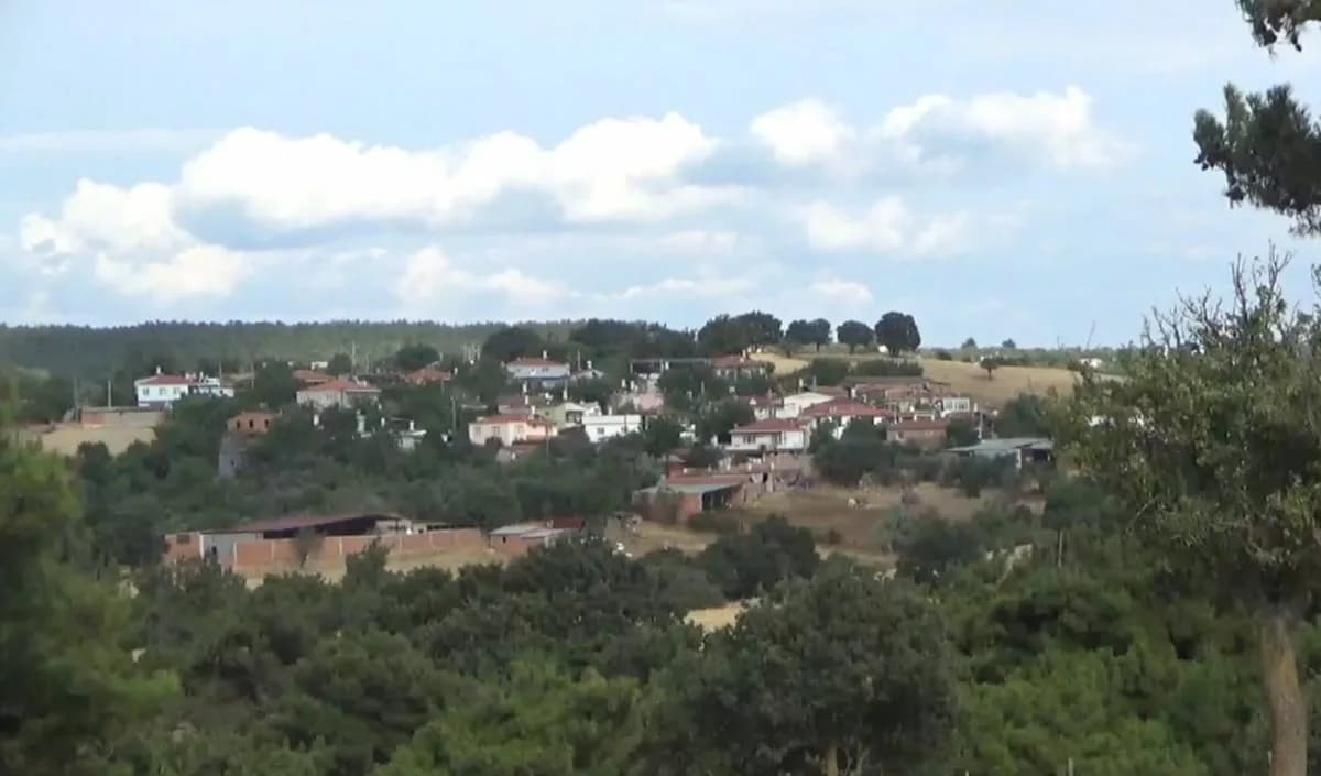 Çanakkale'nin Ünlü Domatesleri Bayramiç'te Yetiştiriliyor