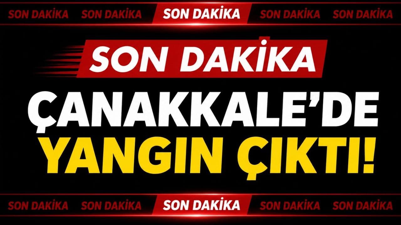 Çanakkale Ayvacık’ta Zeytinlikte Çıkan Yangına Hızlı Müdahale