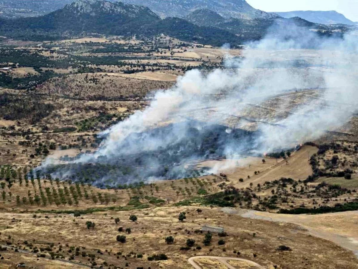 Ezine'de Kırsal Alanda Meydana Gelen Yangın Kontrol Altında