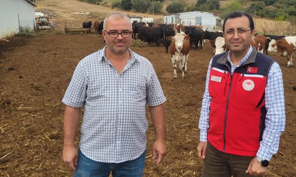 Biga’da Hayvancılık Destek Projesi: 45 Gebe Damızlık ve İlk Buzağıların Doğumu