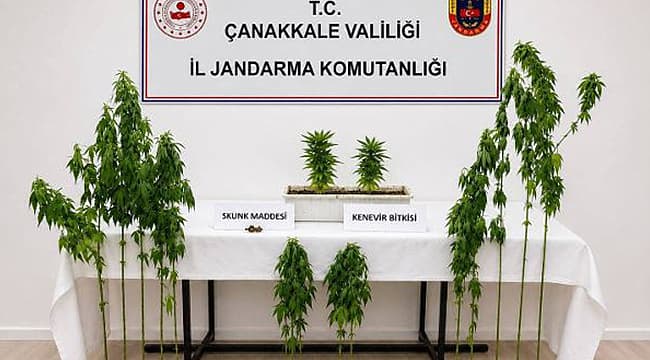 Çanakkale'de Uyuşturucu Operasyonu: 7 Şüpheli Yakalandı