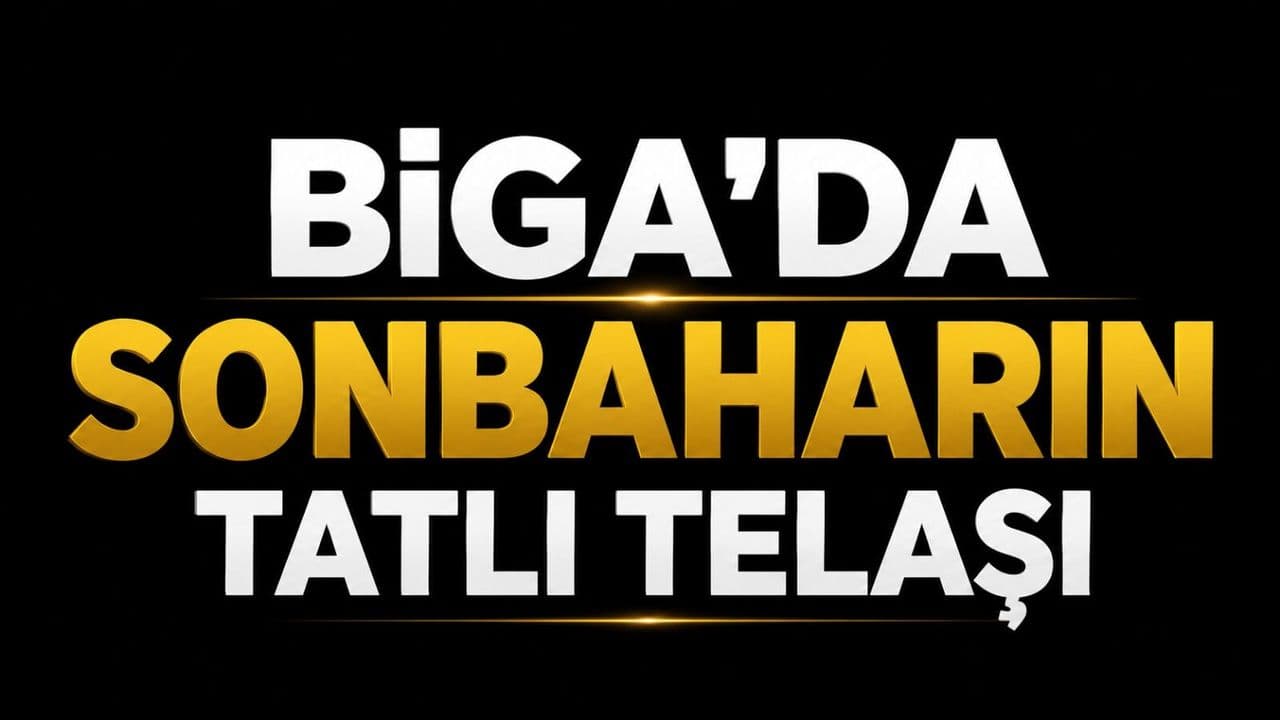 Biga’da sonbaharın tatlı telaşı