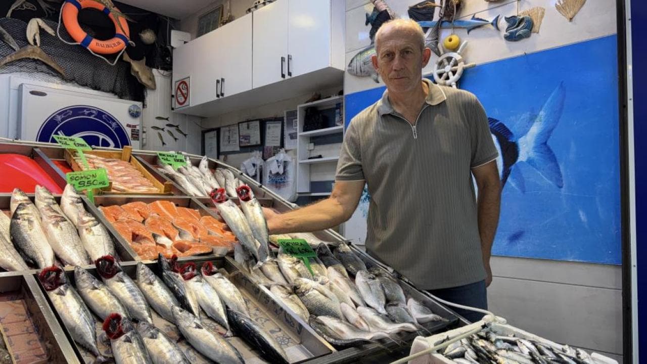 Çanakkale’de balık tezgahları şenlendi! Sezonun ilk palamutları 150 liradan satışta