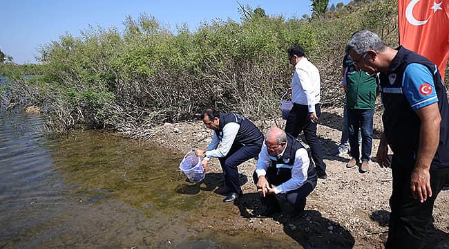 Atikhisar Barajı'na 348 Bin Sazan Yavrusu Salındı