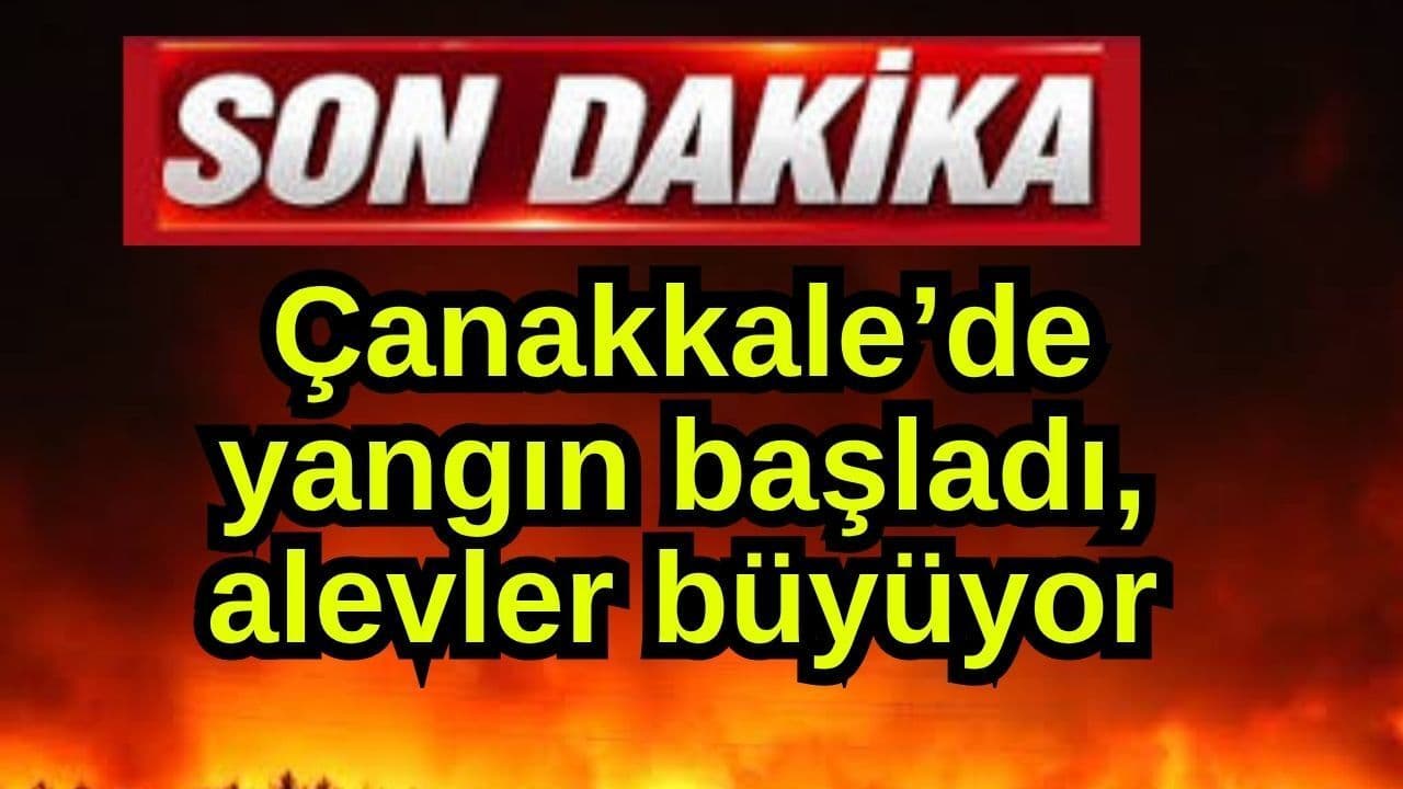 Yangın başlangıç yaptı, alevler büyüyor Çanakkale’de