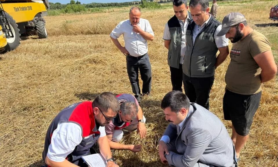 Ayvacık'ta Hasat Döneminde Dane Kaybı ve Yangın Riskine Karşı Sıkı Denetim
