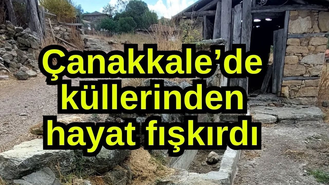 Küllerinden hayat fışkırdı Çanakkale’de