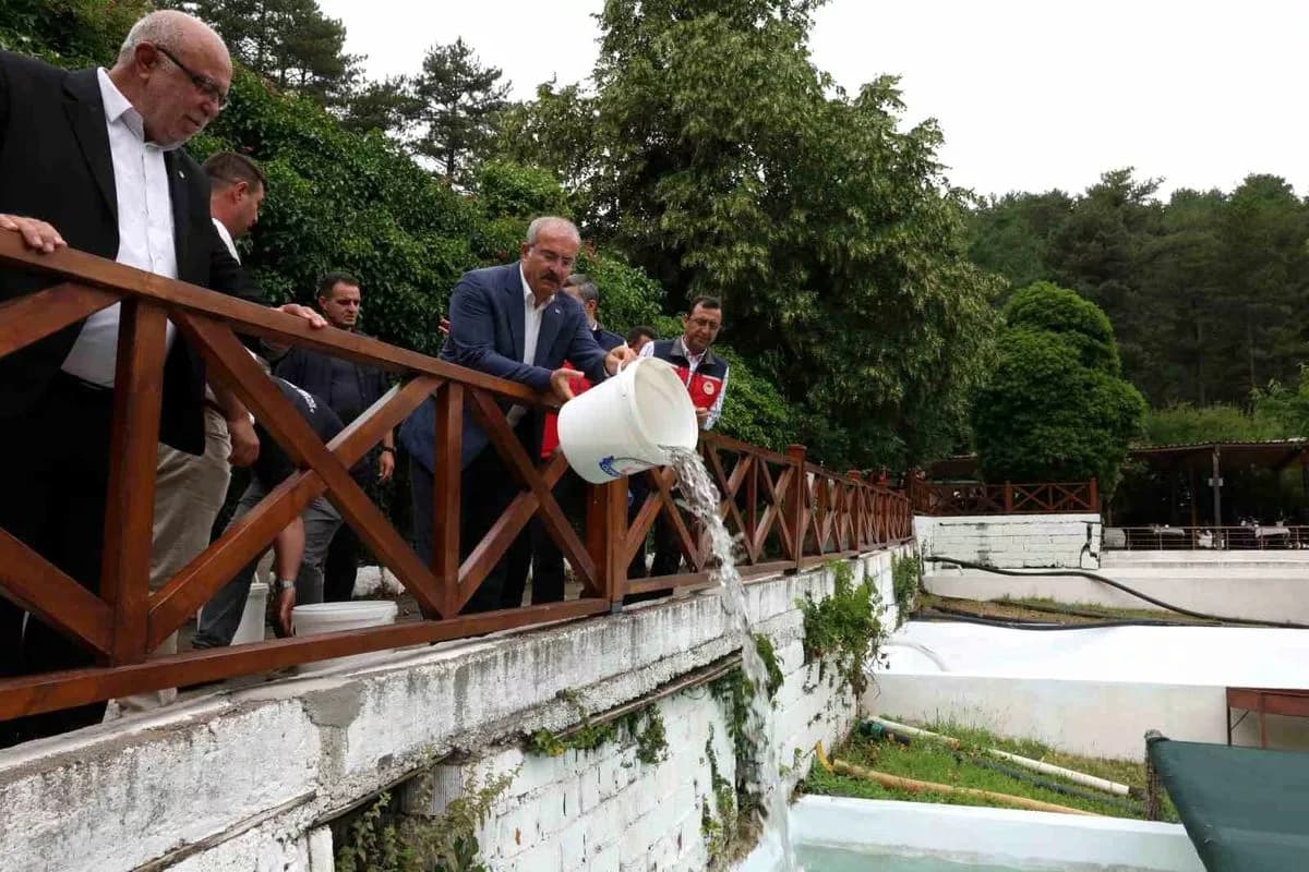 Çanakkale'de Alabalık Yavruları Sularda