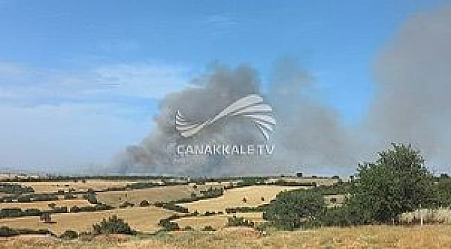 ÇANAKKALE'DE ORMANLARA GİRİŞLER YASAKLANDI