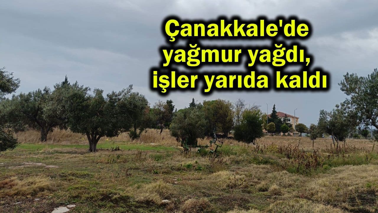 Çanakkale Kırsalında Beklenmedik Yağışlar: Üreticilerin Çalışmaları Sekteye Uğradı