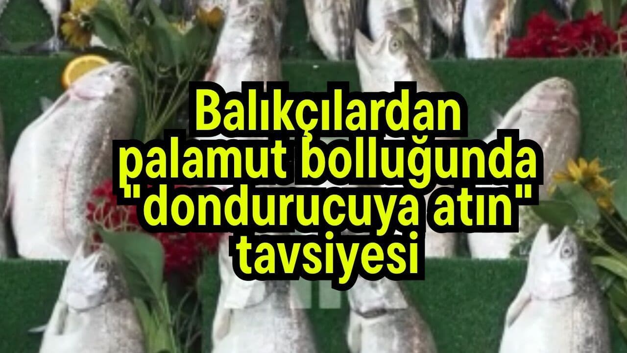 Çanakkale Balıkçıları: Palamut Bolluğu ve Dondurucu Tavsiyesi