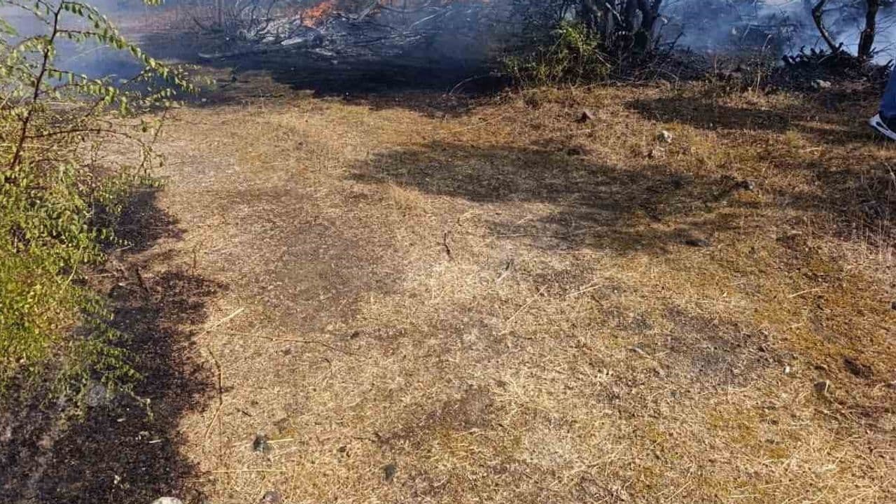 Ayvacık’taki Makilik Yangını Kontrol Altına Alındı