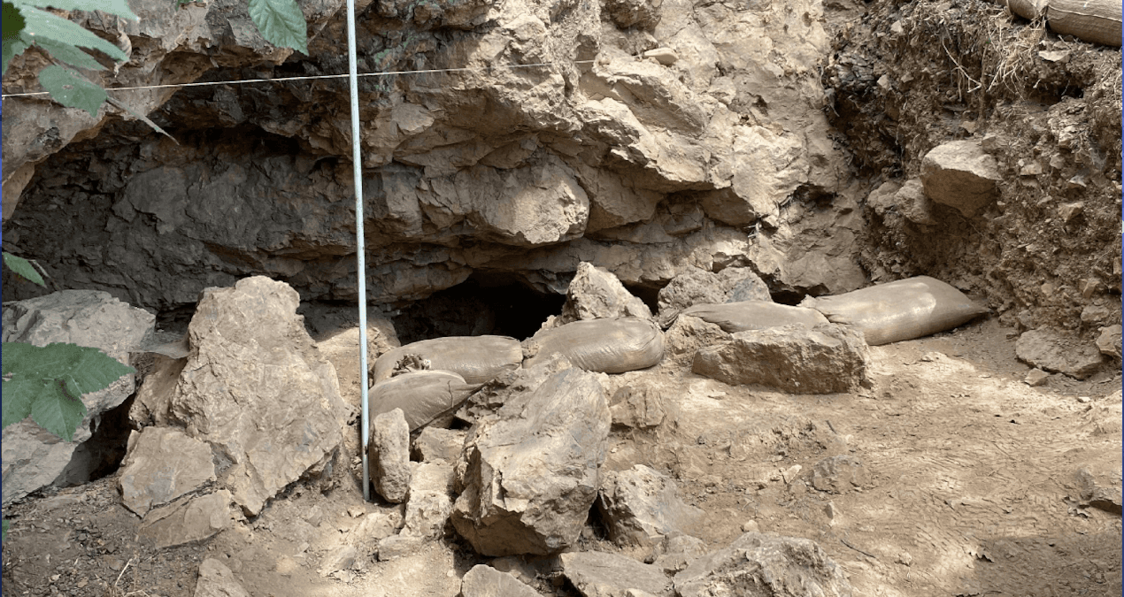 Çanakkale'deki 86 bin yıllık mağarada bulundu: Neandertallerin bu davranışını gören arkeologlar şaşkın! - Sözcü Gazetesi