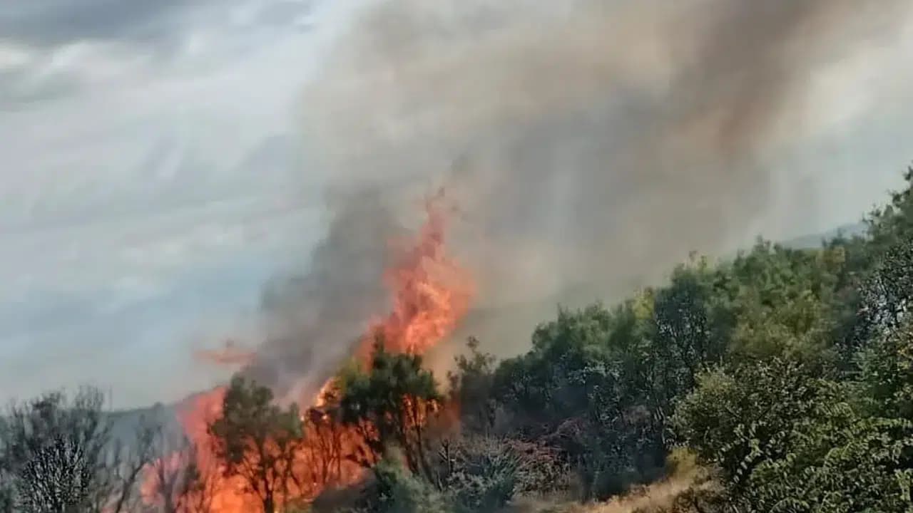 Ayvacık’ta Makilik Bölgesinde Çıkan Orman Yangını Hızla Söndürüldü