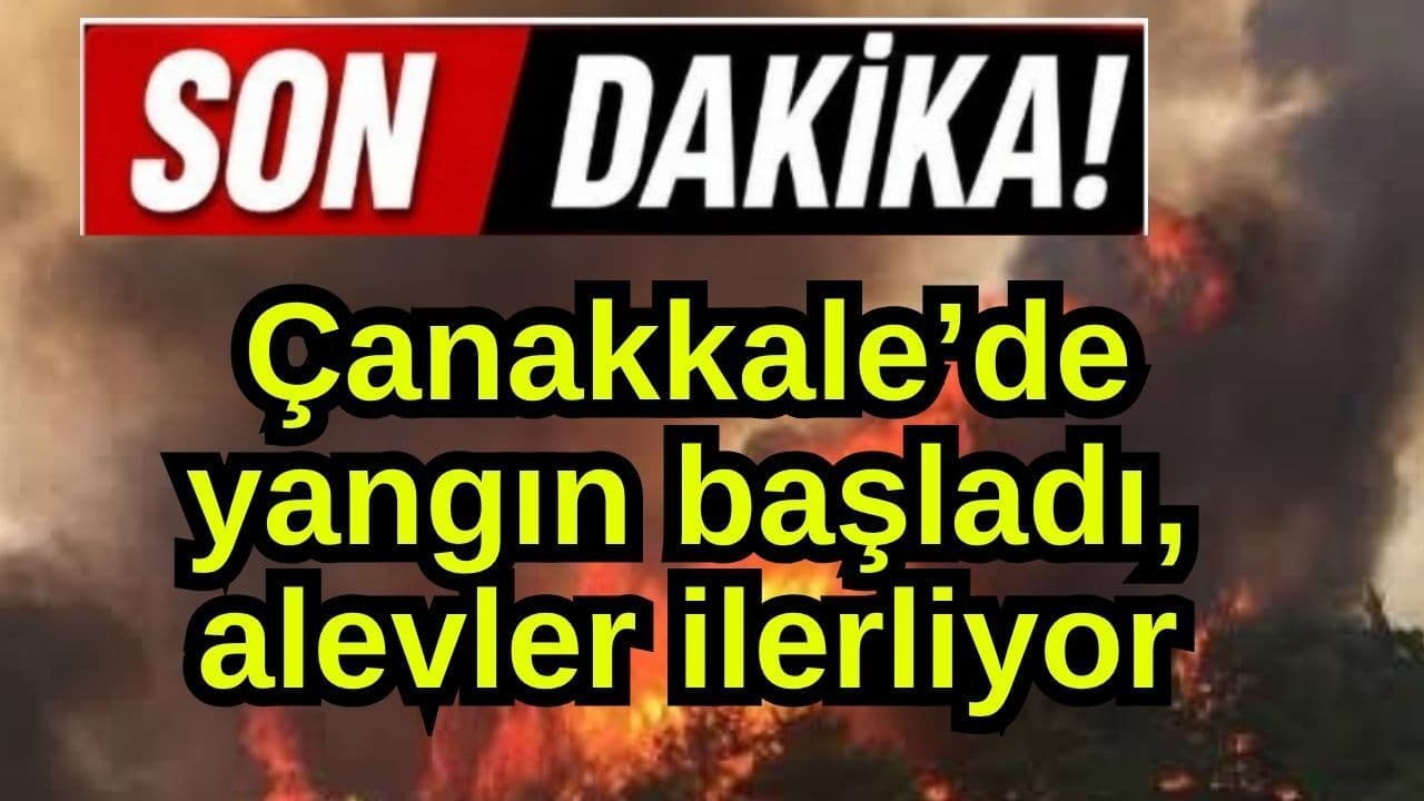 Çanakkale’de yangın hayata geçti, alevler ilerliyor