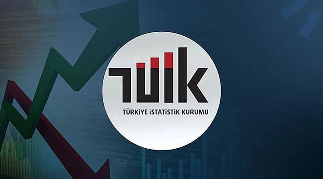 TÜİK İLK KEZ SUÇ MAĞDURİYETİ ARAŞTIRMASI YAPTI