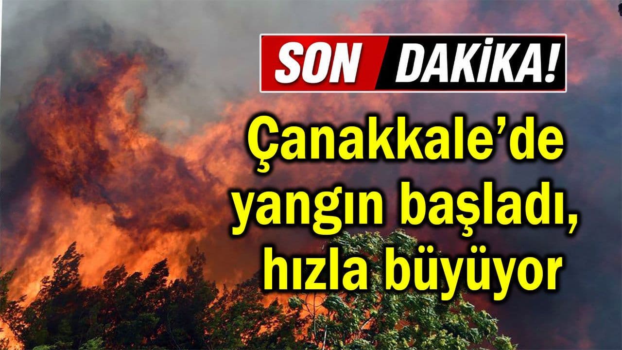 Çanakkale'de Bolayır Köyü Yakınlarında Yangın: Hızla Büyüyen Alevler
