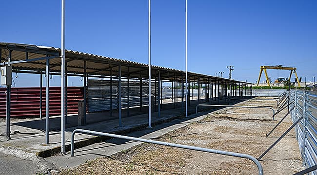 KURBAN SATIŞ VE KESİM ALANINDA ÇALIŞMALAR BAŞLADI