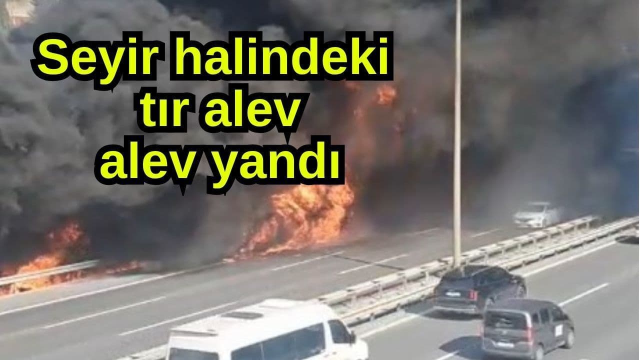 Seyir halindeki tır alev alev yandı
