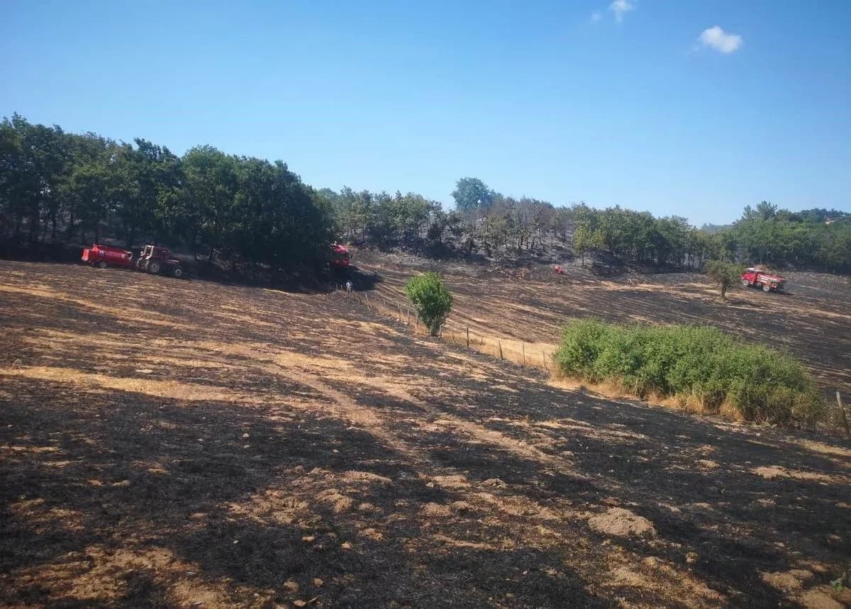 Yenice'de Tarım Arazisinde Kontrol Altına Alınan Yangın