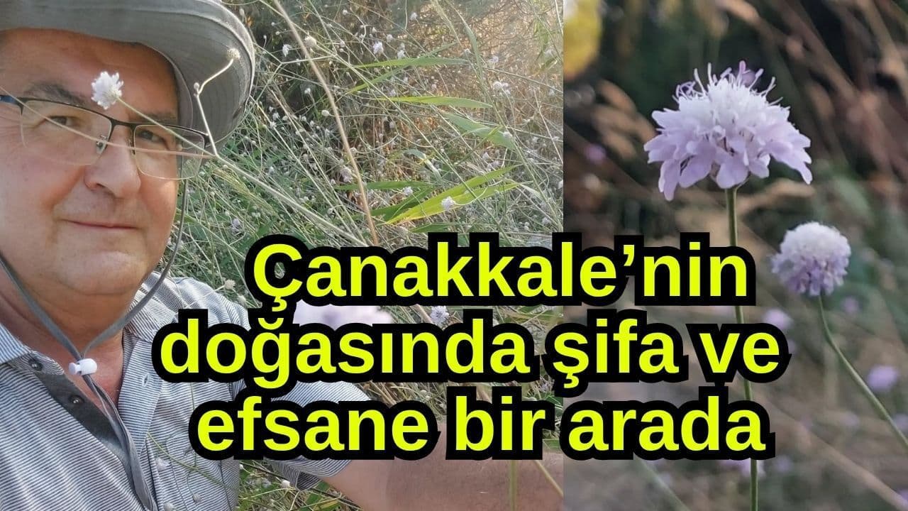 Çanakkale'nin Kalbinde Şifa ve Efsanelerin Büyülü Dansı: Doğanın Gizli Mirası