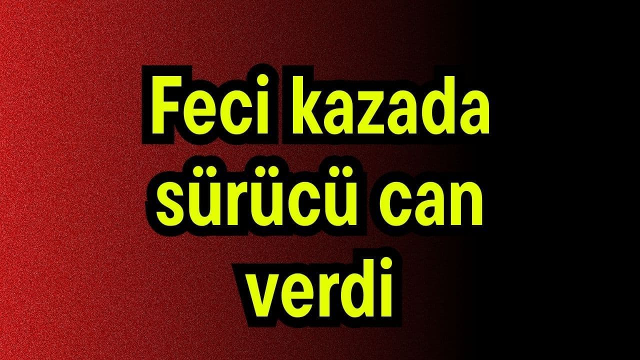 Feci olayda şoför can verdi