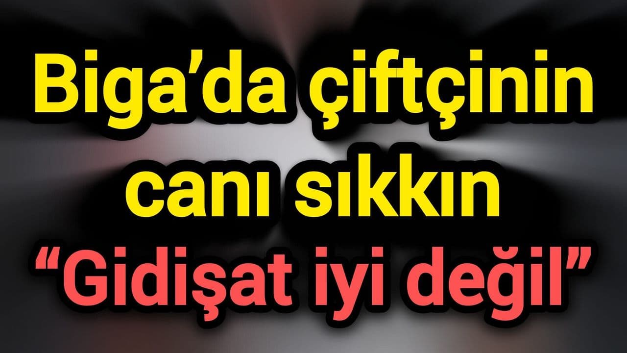 Biga’da üreticinin canı sıkkın: “Gidişat iyi değil”