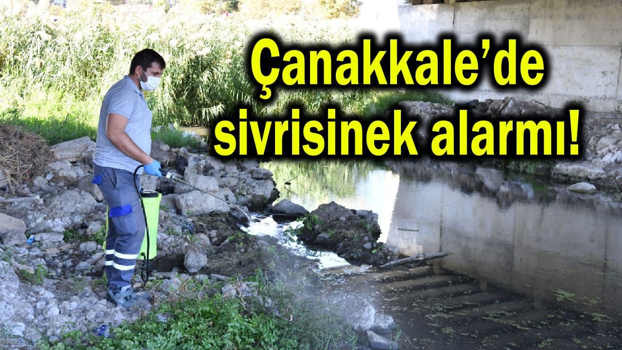 Çanakkale’de Sivrisinek Alarmı: Belediye Ekipleri Harekete Geçti