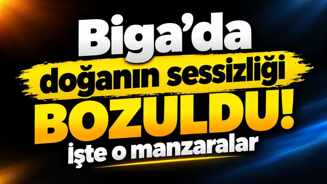 Doğanın sessizliği bozuldu! İşte o manzaralar Biga’da