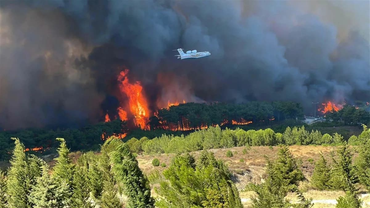 Çanakkale'de Orman Yangınları Azaldı