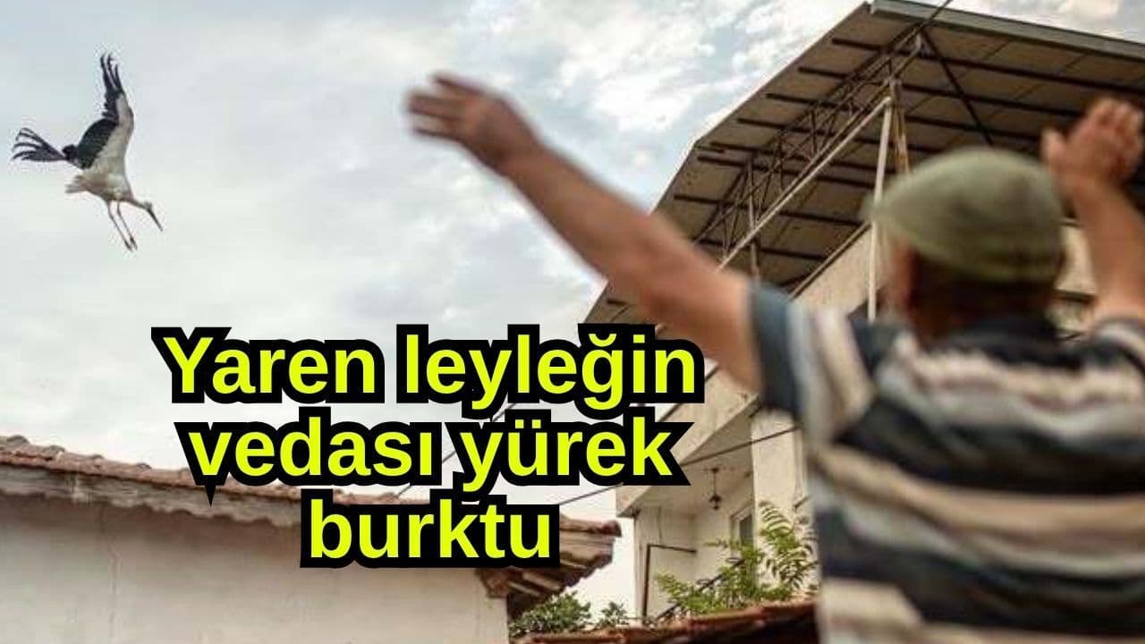 Yaren leyleğin vedası yürek burktu