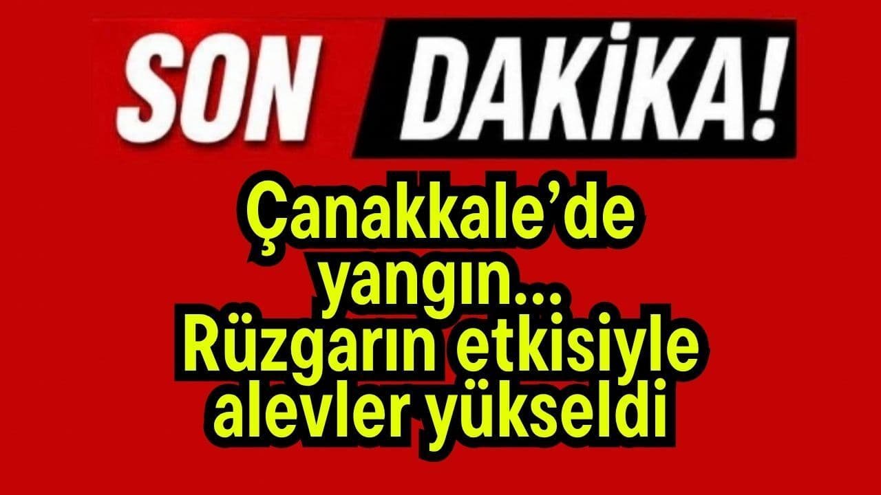 Çanakkale’de yangın… Rüzgarın etkisiyle alevler arttı