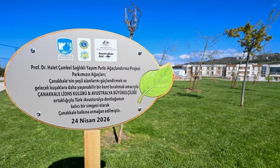 Çanakkale'de 118 Yetişkin Ağaç Toprakla Buluştu