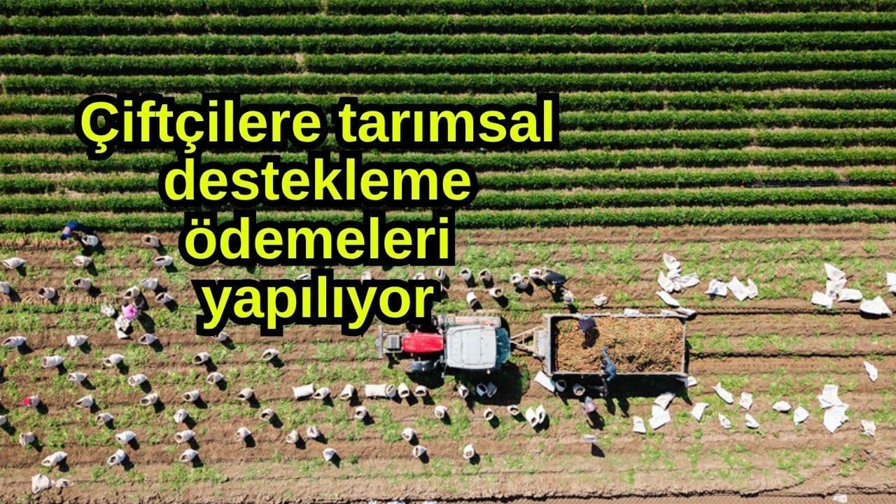 Çiftçilere tarımsal destekleme ödemeleri yapılıyor