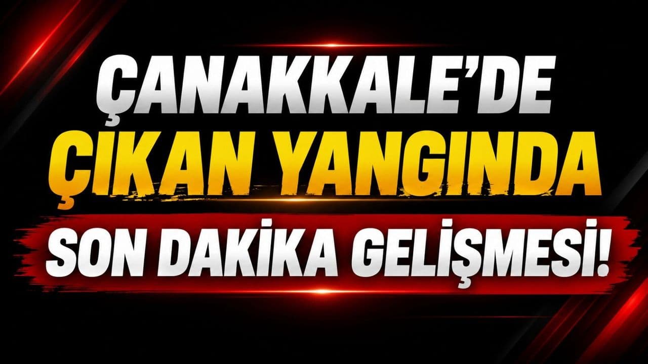Çanakkale'de çıkan yangında son dakika gelişimi!