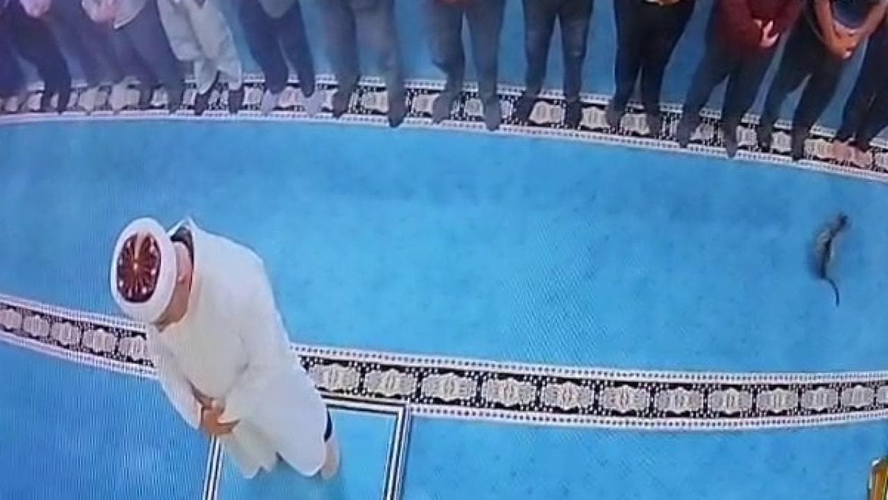 Cami İçindeki Vicdansızlık Toplumu Ayağa Kaldırdı: Kediyi Tekmeleyen Şahıs Gözaltına Alındı