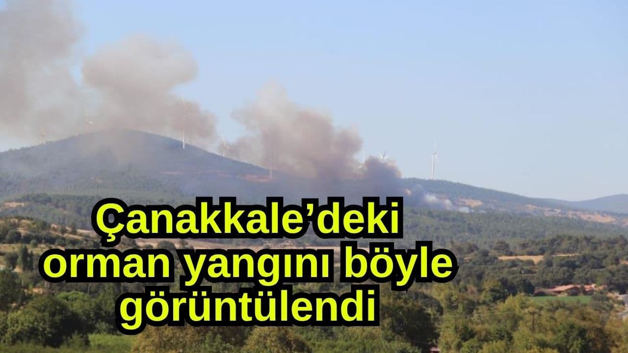 Çanakkale’deki yeşil örtü yangını böyle görüntülendi (Video)